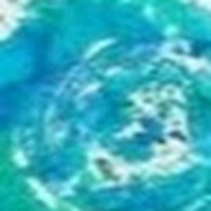 Meet your Posher, Sasha